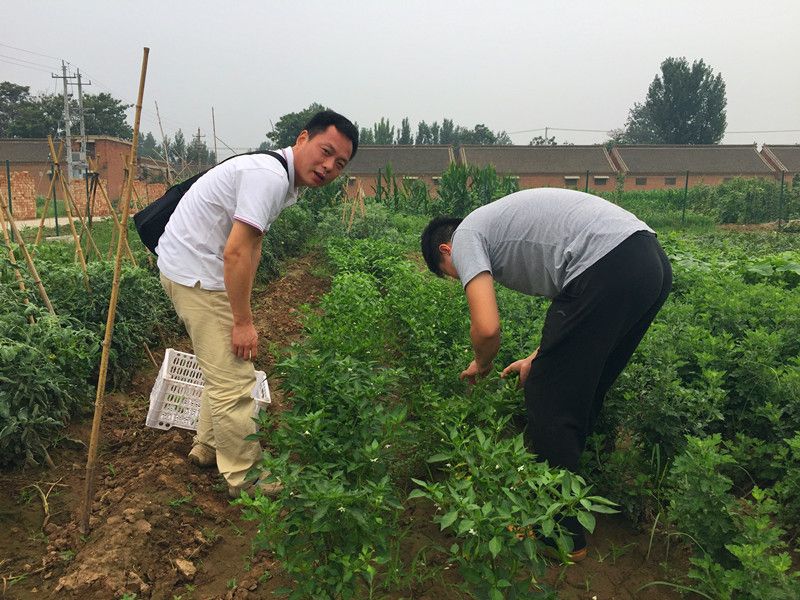 好利來郭總喊您來摘菜啦！綠色無公害，放心！